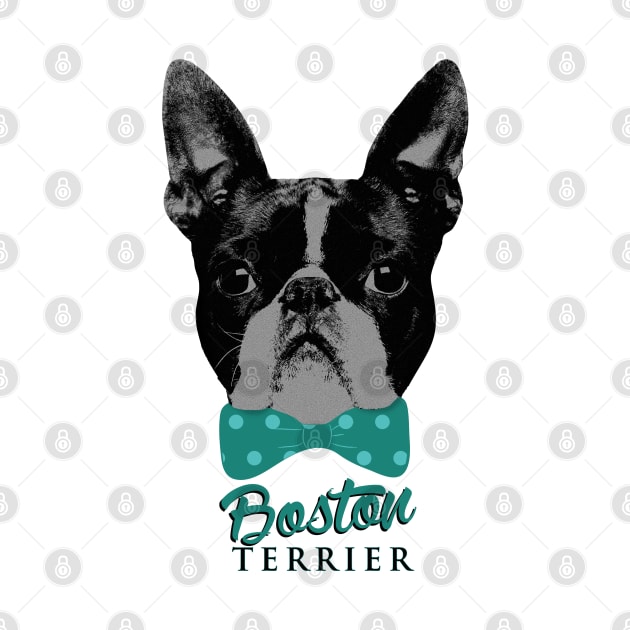 Boston Terrier dog by Nartissima