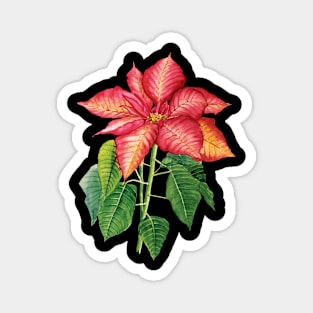 day with Poinsettia Magnet