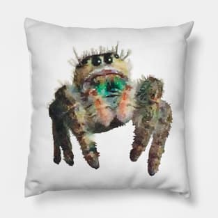 Furry Jumping Spider Pillow