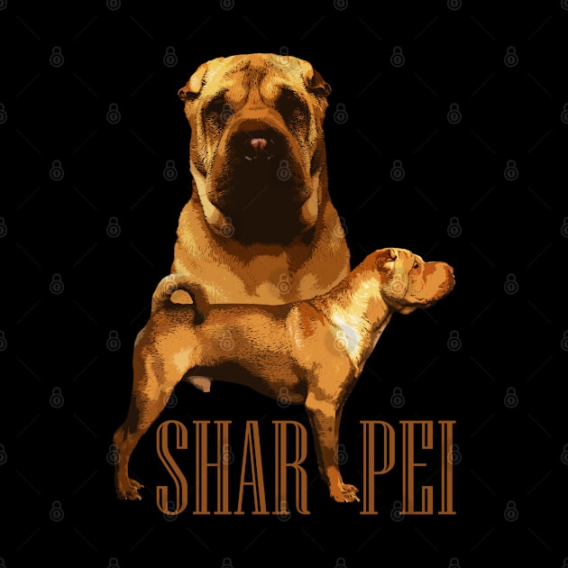 Shar-Pei by Nartissima