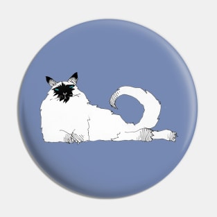 blue eyes Pin