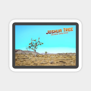 Joshua Tree National Park California Magnet