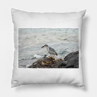 Black-crowned night heron of hawaii 6 Pillow