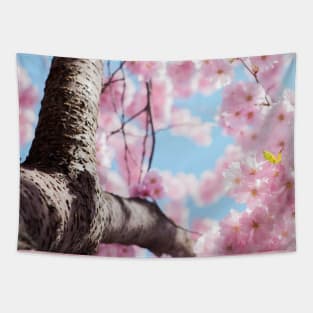 Aesthetic Cherry Blossom Tapestry