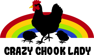 Crazy chook lady Magnet