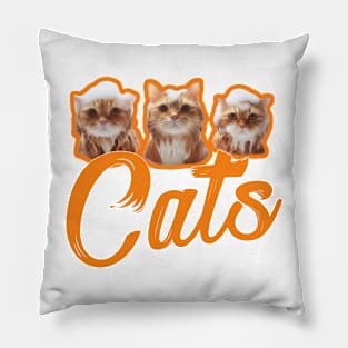 Cats Pillow