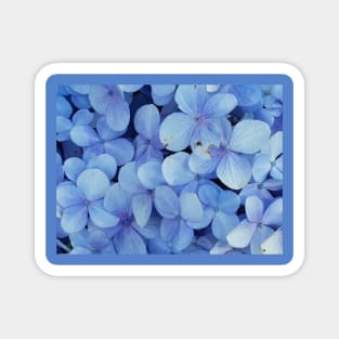 blue leafs flowers plant Magnet