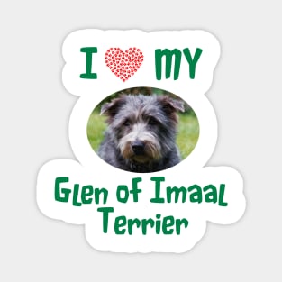 I Love My Glen of Imaal Terrier Magnet