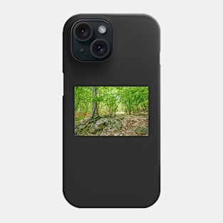 Mountain trail in the forest Phone Case