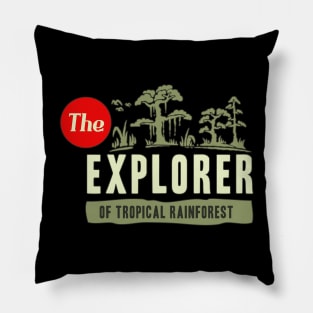 Explorer Pillow