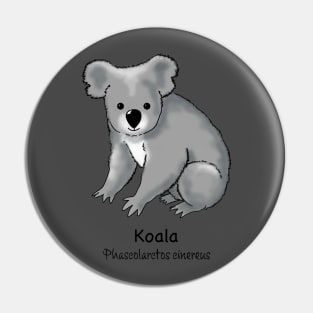 Endangered animals of Australia – Koala (Phascolarctos cinereus) Pin