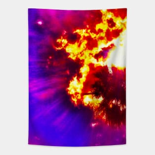 Palm Tree Sunburst Tapestry