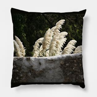 Flowering Pampas Grass Plumes Garden Wall Pillow