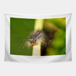 Gypsy Moth Caterpillar Tapestry