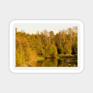 Autumn Forest-1 Magnet