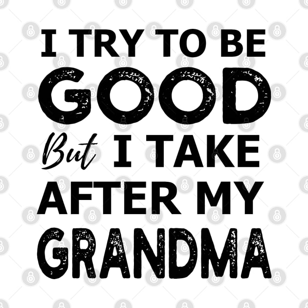 I Try To Be Good But I Take After My Grandma T-shirt For Men, Women, Boys, Girls, Youth And Kids - Funny Shirt With Sayings by parody