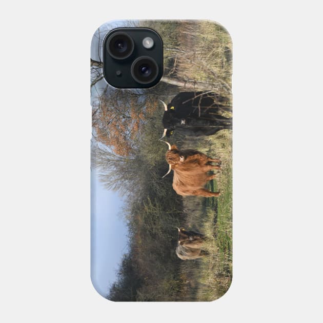 Cows Phone Case by Wolf Art / Swiss Artwork Photography