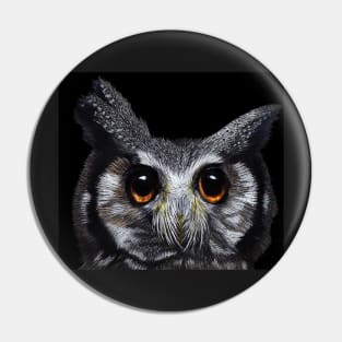 White-faced owl Pin