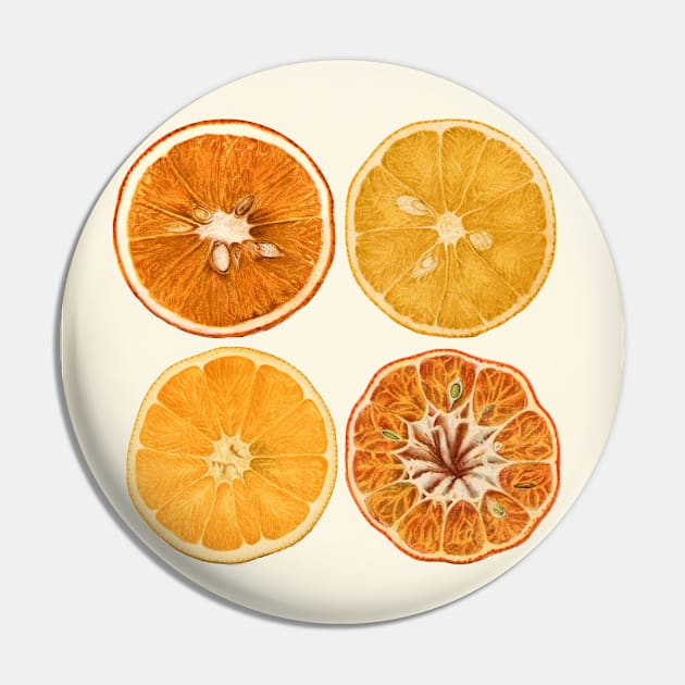 Retro Style Orange & Lemon Slice Art Pin by DownThePath