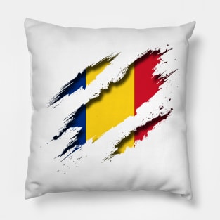 Romania Shredding Pillow