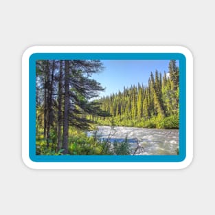 USA. Alaska. Denali National Park. Trees. Magnet