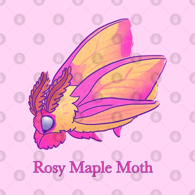 Rosy Maple Moth by Angsty-angst