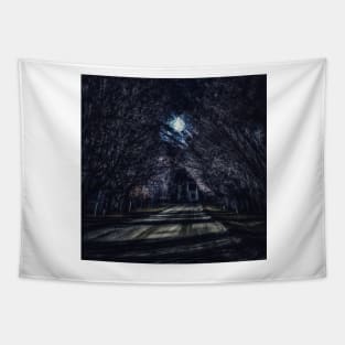 Dark Shines - Midnight Tapestry