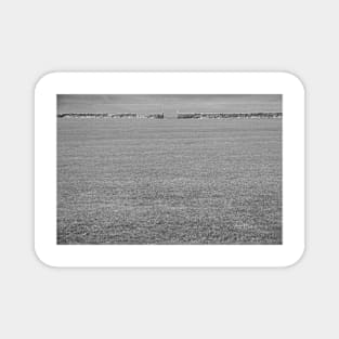 Black & White Grass Of Home Magnet