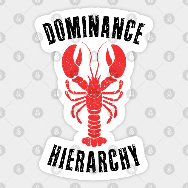 Dominance Hierarchy Jordan Peterson Clean Your Room Lobster SJW 12 Rules For Life - Peterson - Sticker | TeePublic