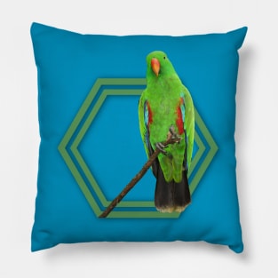 Eclectus Parrot Pillow