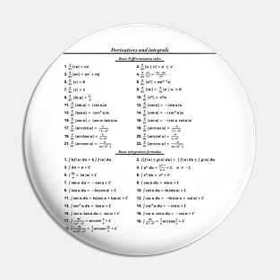 Derivatives And Integrals Pin