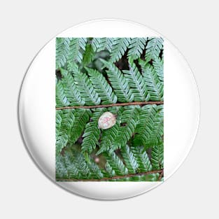 Tree fern Pin