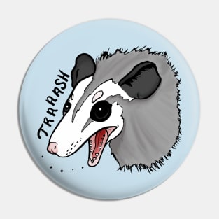 Opossum Pin