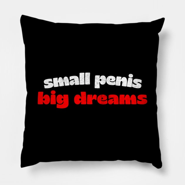 Small Penis, Big Dreams - Humorous Typography Design Pillow by DankFutura