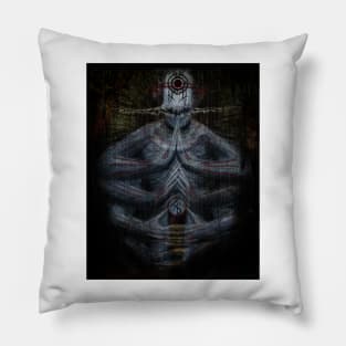 LieSeeker Pillow