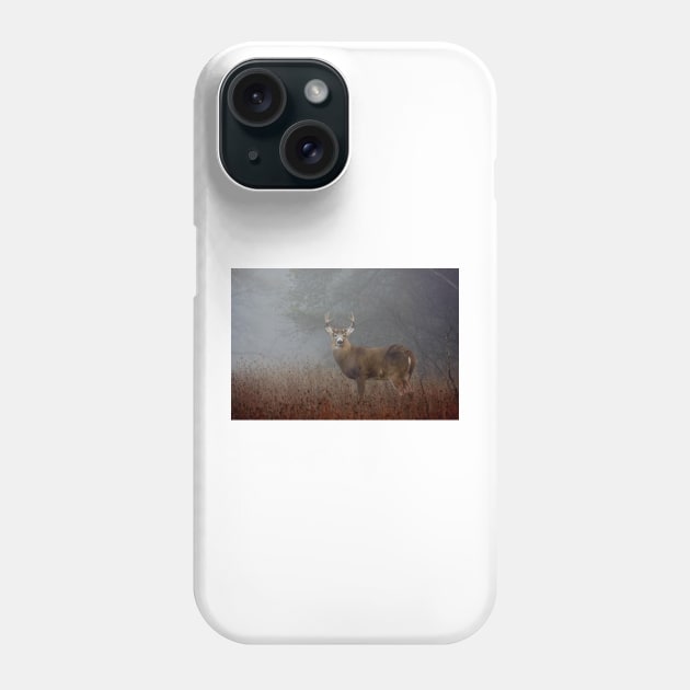 Big Buck - White-tailed deer Phone Case by Jim Cumming