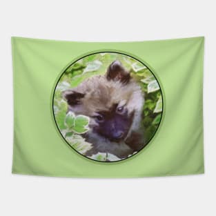 Keeshond Puppy (Brutus) Tapestry