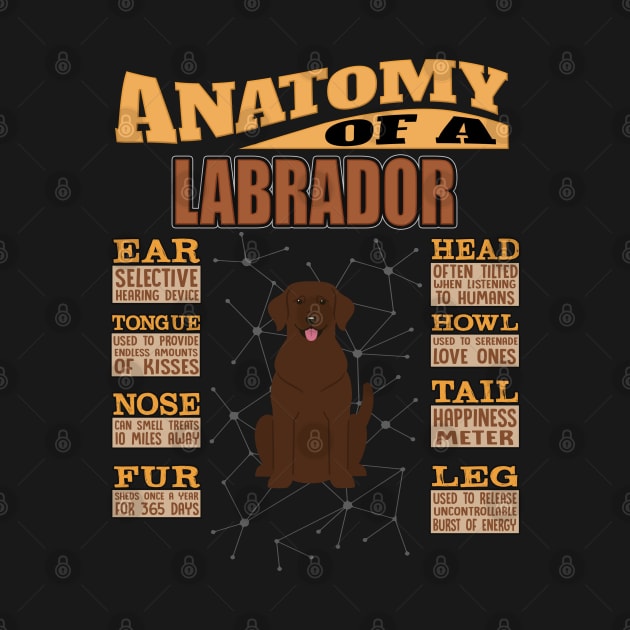 Anatomy Of A Labrador Retriever - Labrador Retriever Labrador,Lab,Brown Hair, by HarrietsDogGifts