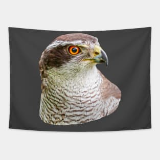 Goshawk Portrait Tapestry