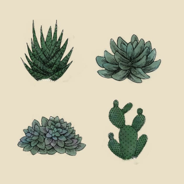 Succulents by ElizeValen