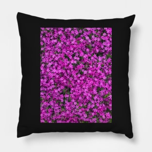 A carpet of pink creeping phlox blossoms Pillow