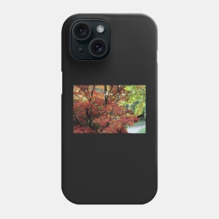 Autumn Path Phone Case