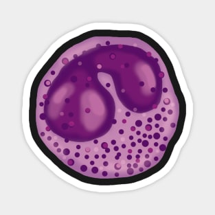 Basophil Magnet