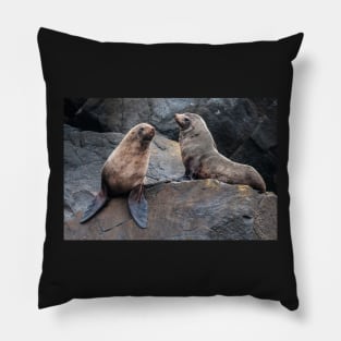 Australian Seals Pillow