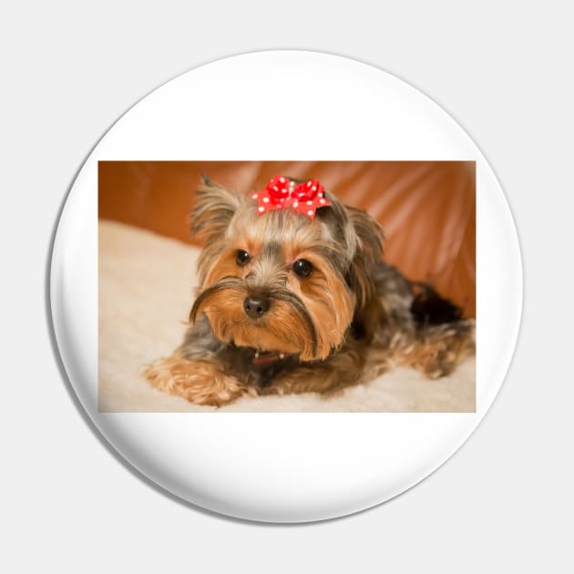 Yorkshire Terrier Pin by kawaii_shop