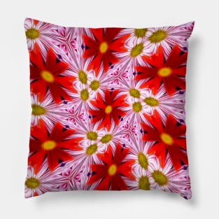 Beautiful Red Aster Patterns Pillow