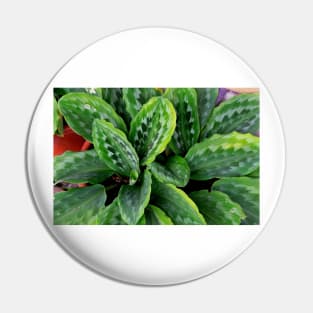 Green Plant Pin