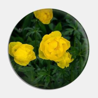 Yellow flowers Pin