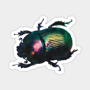 Splendid Earth-boring Scarab Beetle Magnet