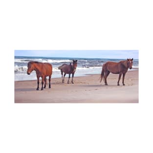 Wild horses, wildlife, A Trio of Beach Buddies T-Shirt